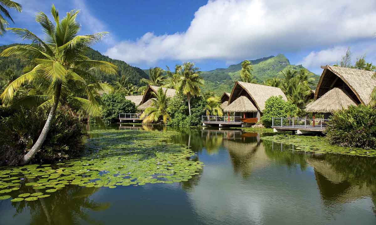 Polinesia 