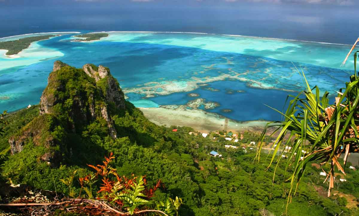 Polinesia 
