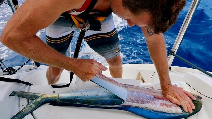 Pesca