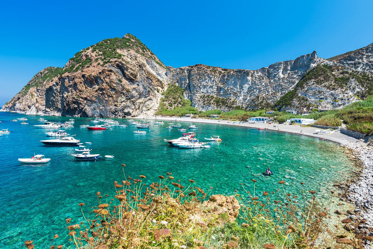 Palmarola