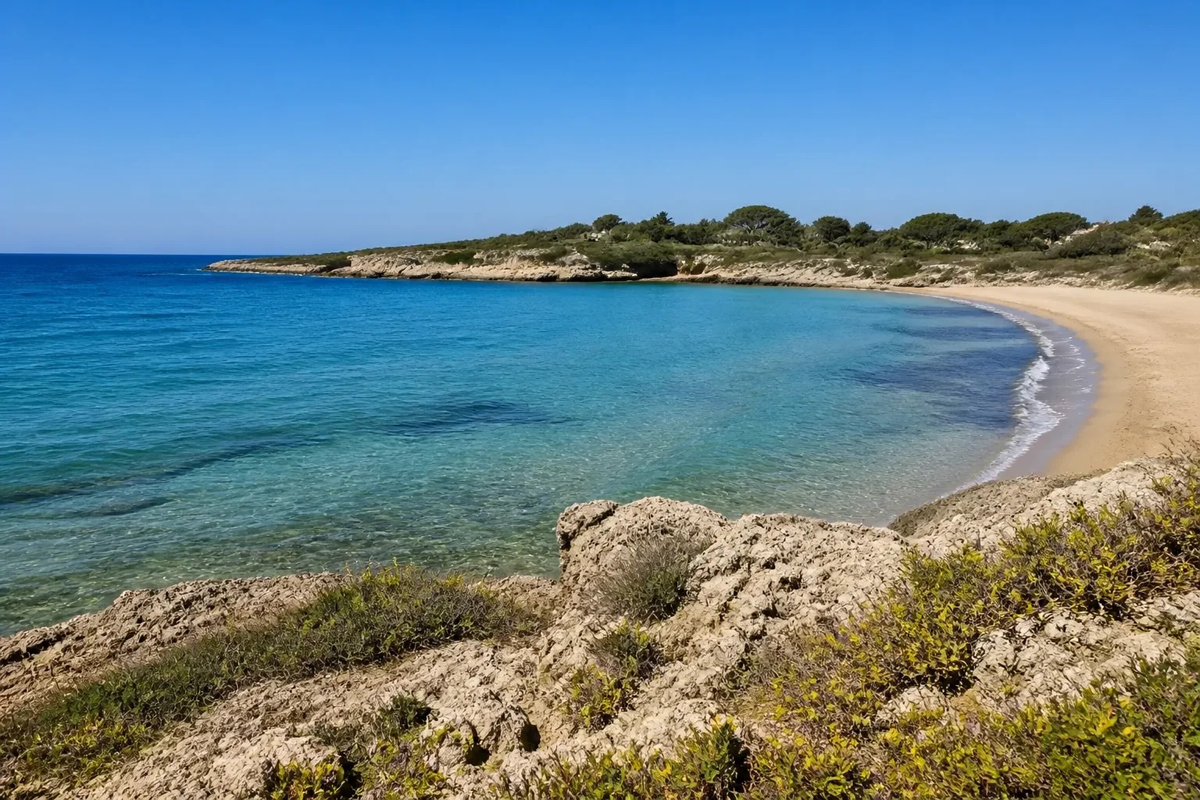 brindisi a vela