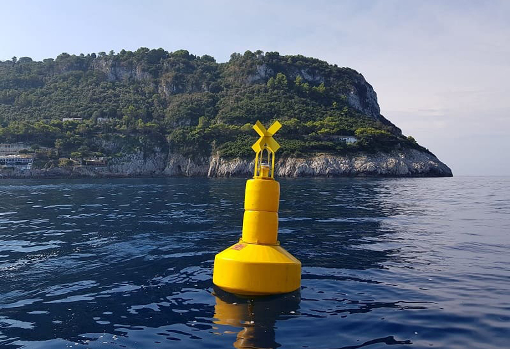 boa gialla mare significato