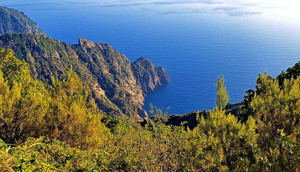 Portofino a vela