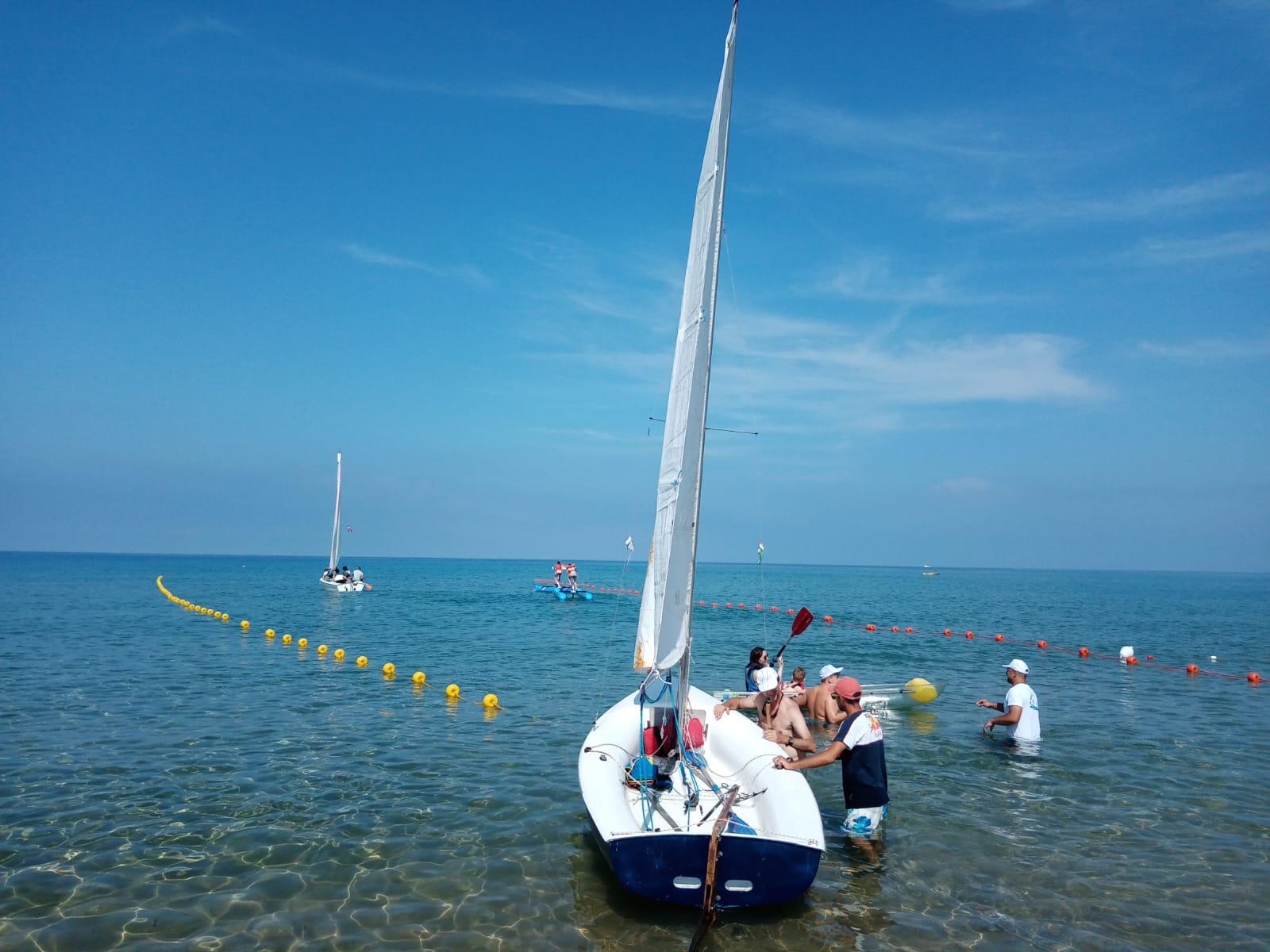 boa gialla mare significato